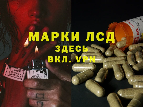 СК Абинск