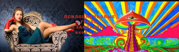СК Абинск
