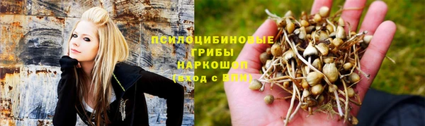 СК Абинск